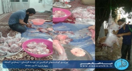 توزیع گوشت قربانی در پارس آباد