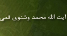 آیت الله محمد وشنوی قمی,محدث,مورخ,گنجینه تصاویر ضیاءالصالحین