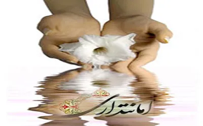 ضیاءالصالحین