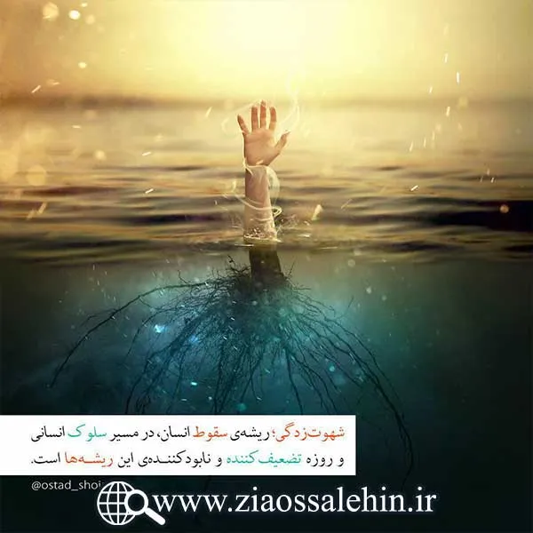 اسرار روزه استاد محمد شجاعی/ قسمت 16