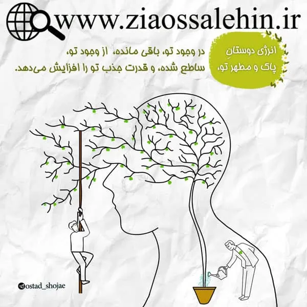 مجموعه ارتباط موفق 24 - انرژی دوستان/ استاد شجاعی و مشکینی