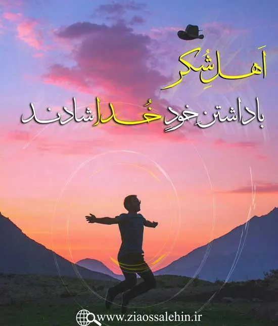 مباحث «شُکر» - استاد محمد شجاعی / جلسه 32