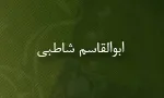 ابوالقاسم شاطبی_امام القراء