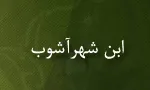 محمد بن علی بن شهر آشوب مازندرانی(گنجینه تصاویر ضیاءالصالحین)