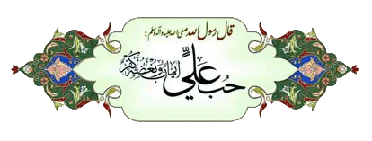 ضیاءالصالحین