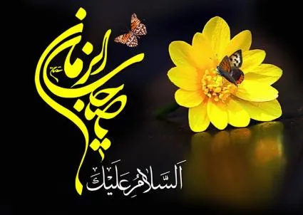 السلام علیک یا اباصالح المهدی(عج)