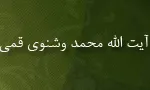 آیت الله محمد وشنوی قمی,محدث,مورخ,گنجینه تصاویر ضیاءالصالحین