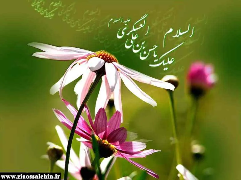 امام حسن عسکری علیه السلام