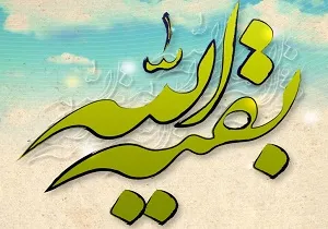 ضیاءالصالحین