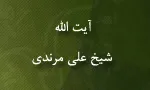 آیت الله شیخ علی مرندی