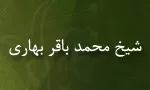 شیخ محمدباقر بهاری همدانی,گنجینه تصاویر ضیاءالصالحین