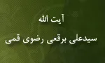 سیدعلی برقعی رضوی قمی